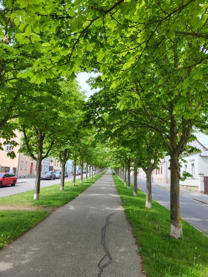 Alleeblick Ballenstedt Exterior photo